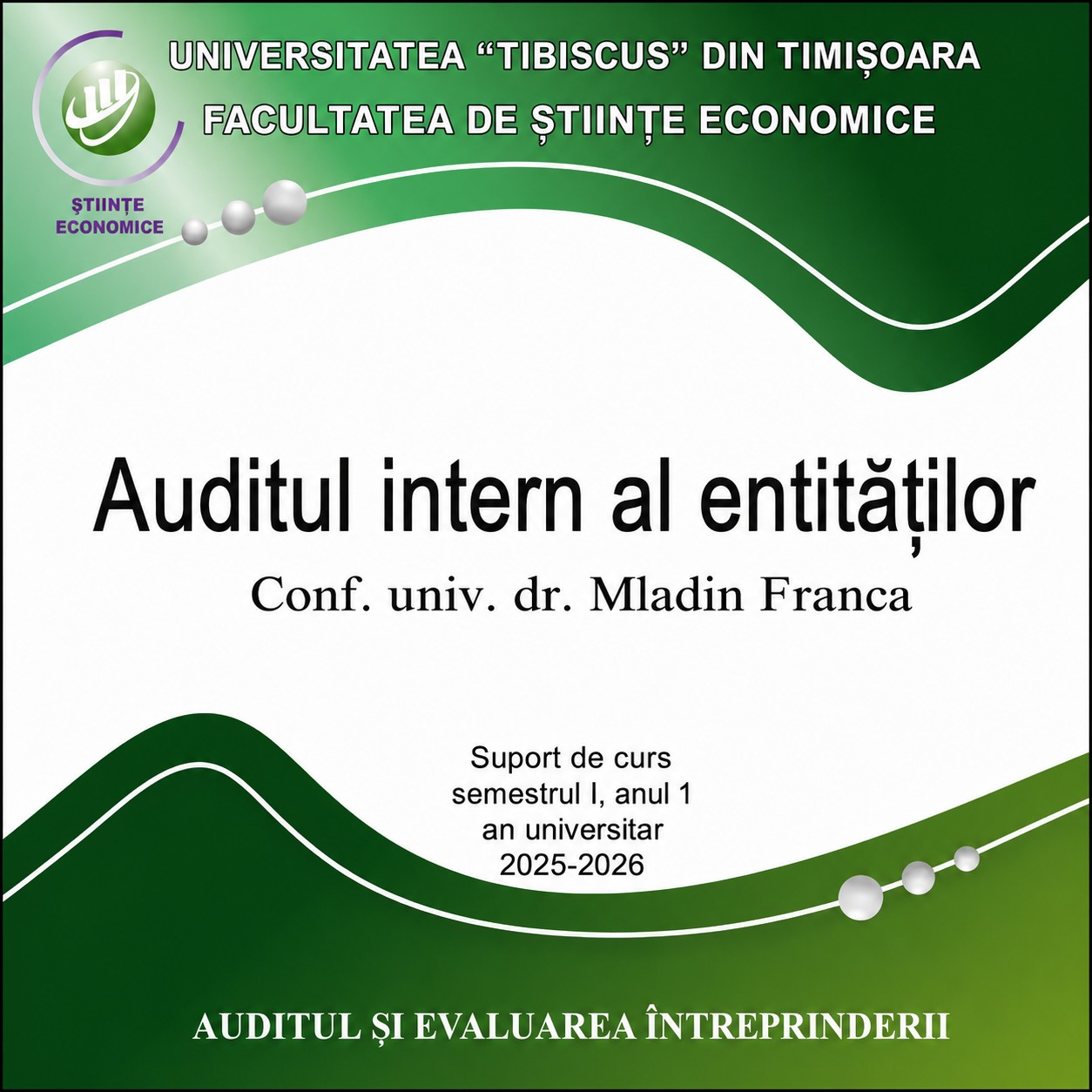 4 auditul